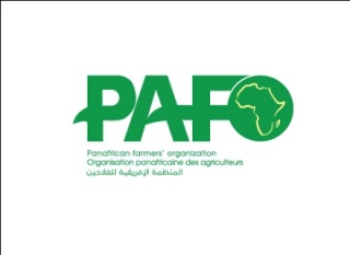 PAFO