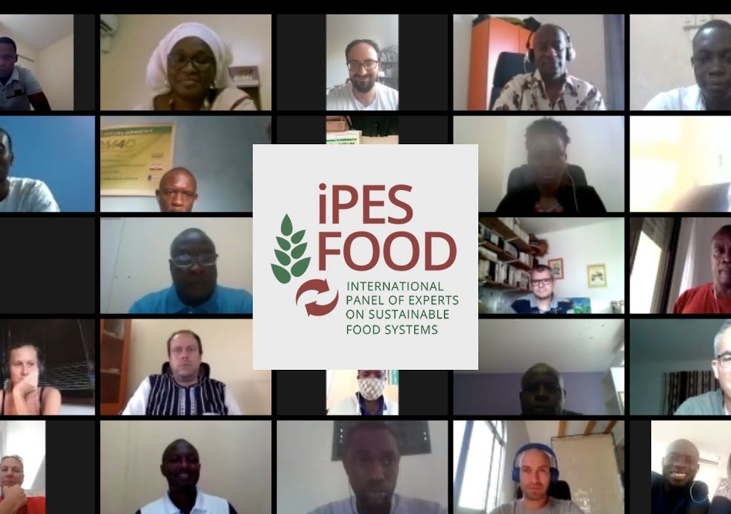 Webinar (VO) | Bringing Agroecological Alternatives to Light in West Africa