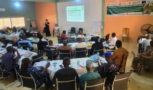 Le ROPPA engagé pour une Afrique de l’Ouest sans pesticides toxiques