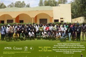 🌿 Vers une stratégie régionale de plaidoyer pour l’agroécologie en Afrique de l’Ouest : 3AO participe à un atelier à Thiès en avril 2025